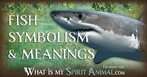 fish meaning|Fish Symbolism & Meaning (+Totem, Spirit & Omens) .